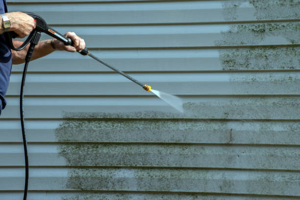 Professional Pressure Washing Services in Berwyn, IL